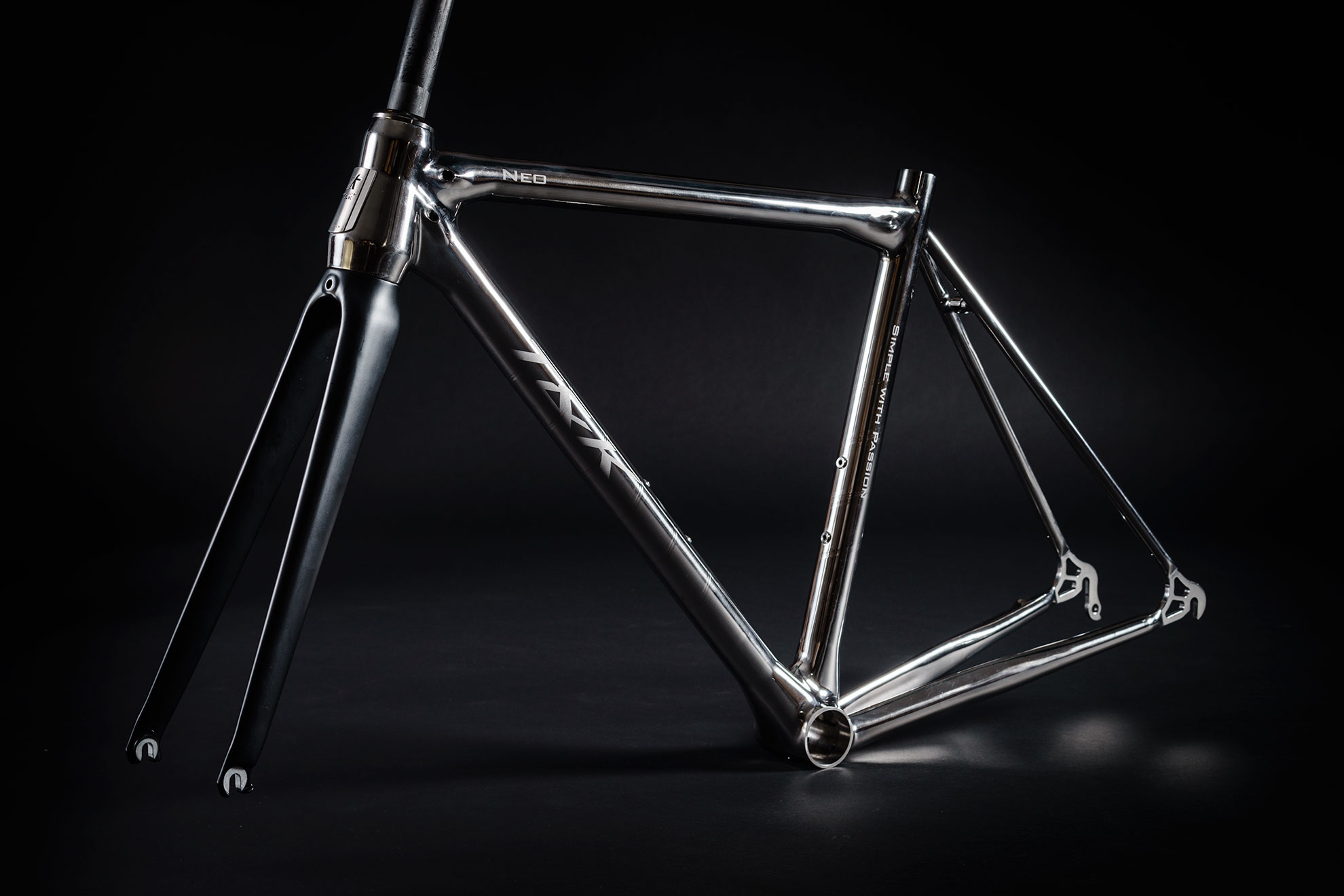 NEO with carbon fork