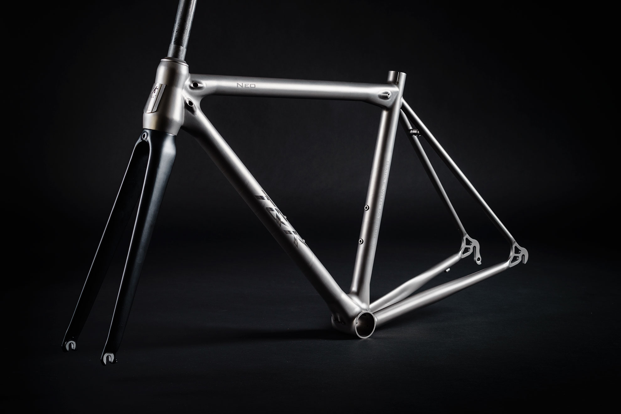 NEO with carbon fork