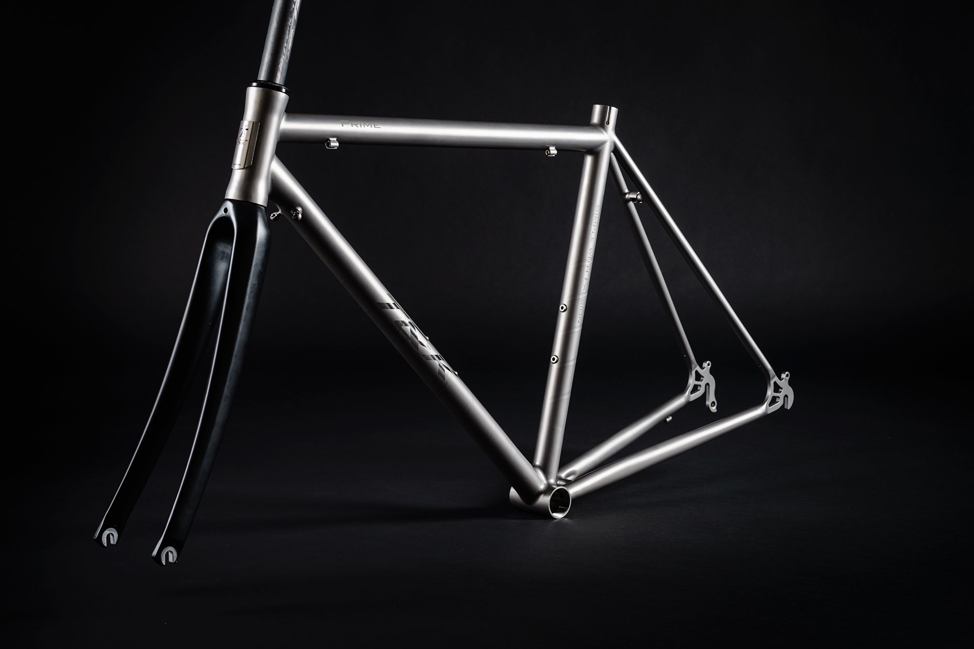 NEO with carbon fork